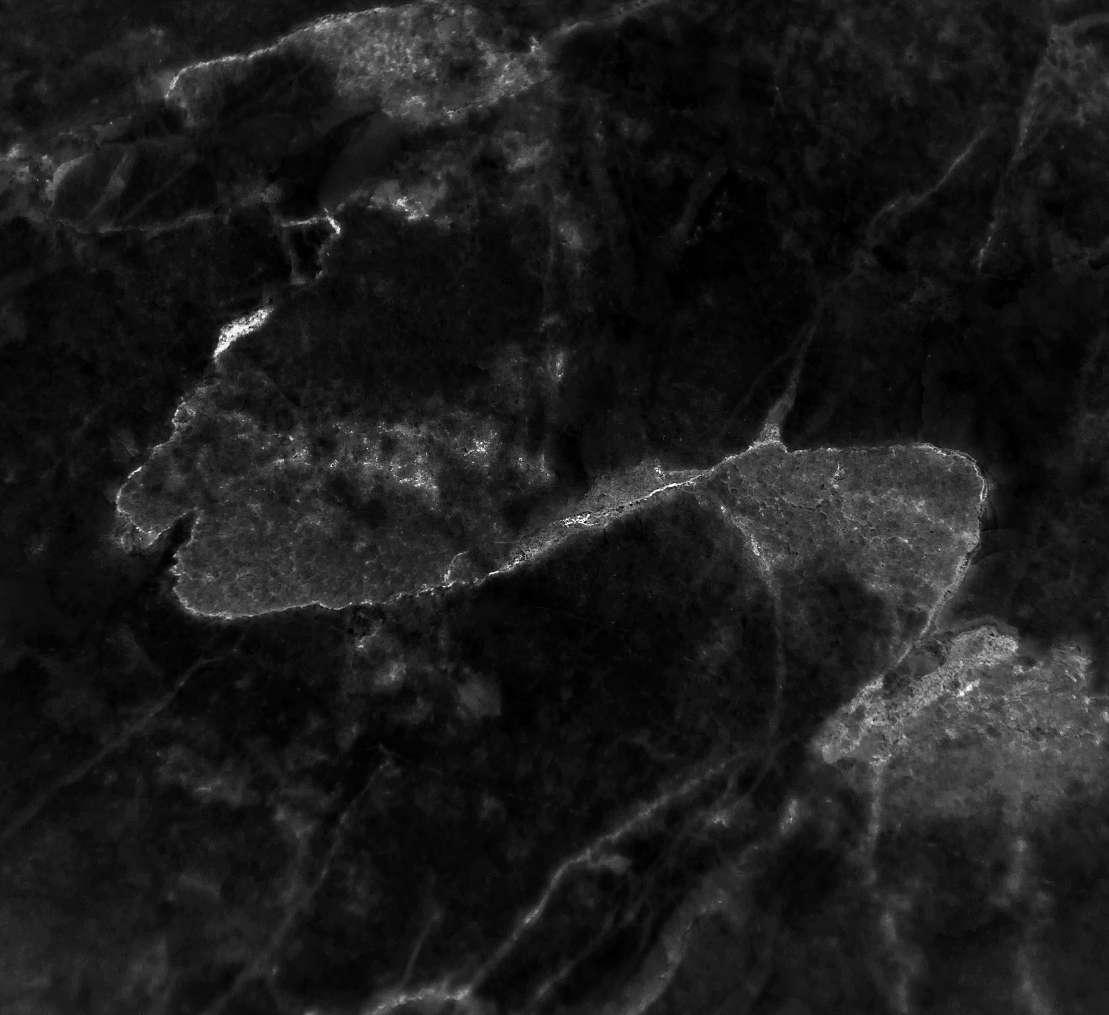 Textured dark stone surface in black and white.
